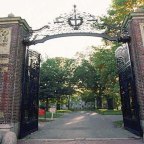 Mandate of the Intellectual