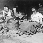 The Sexual Division of Labor (con’t)